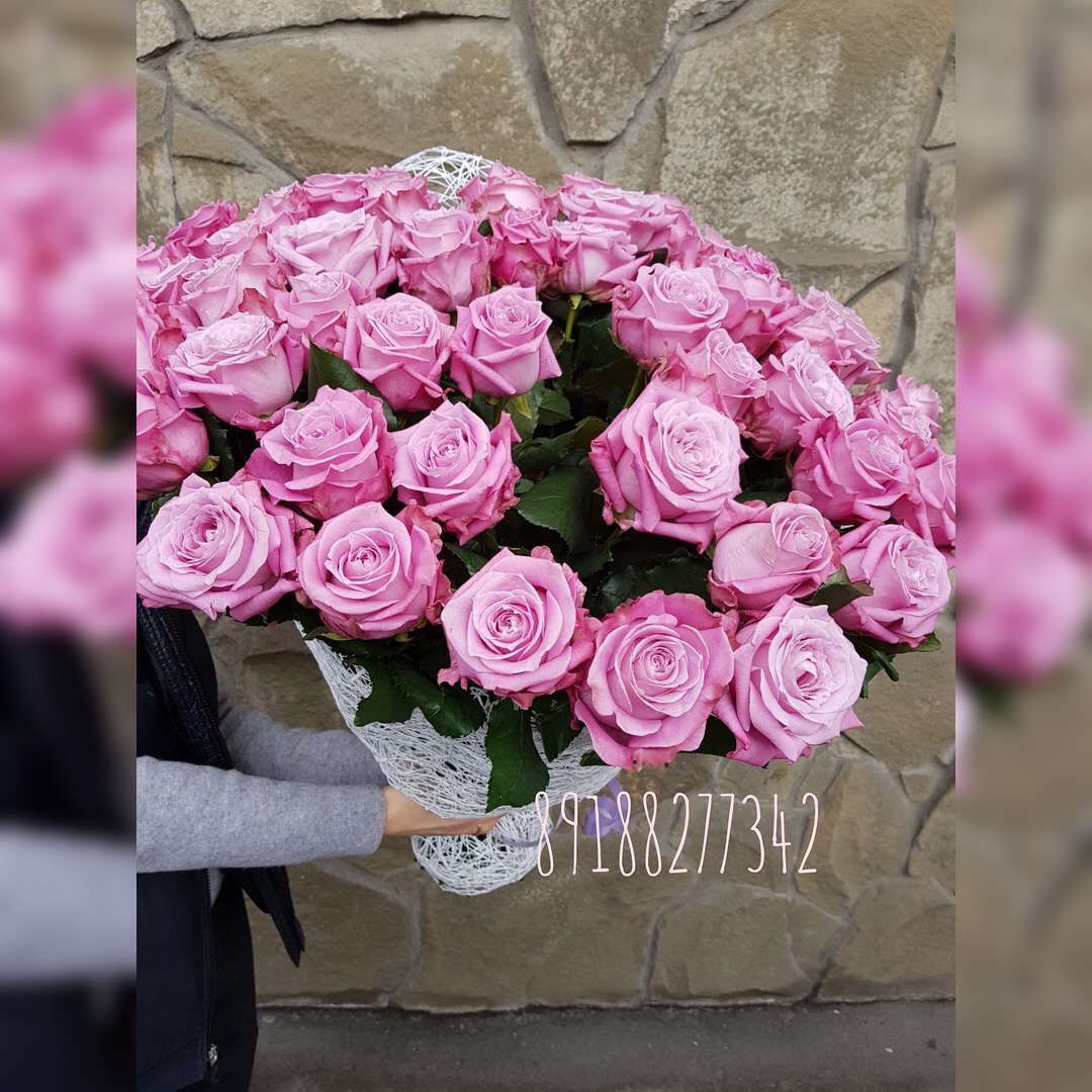 сиреневый рай